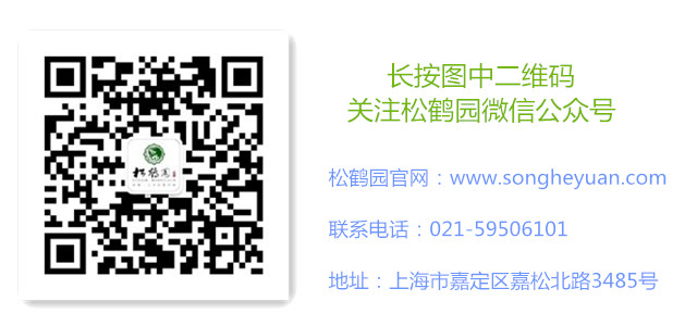 線上繳納維護(hù)費(fèi)功能正式開通?。?！